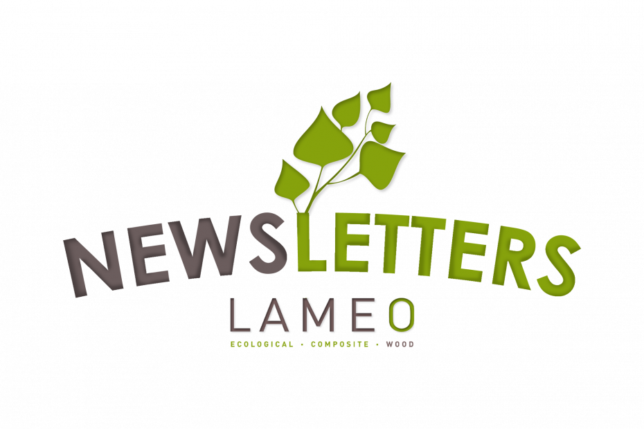 LAMEO - Logo